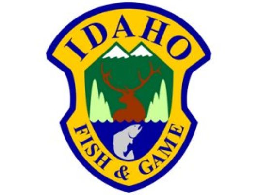 Idaho Fish and Game official new director for Washington | ktvb.com