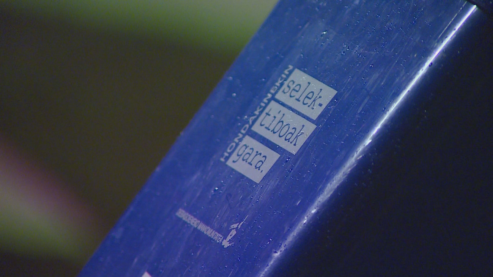 Unique Basque language thriving in Boise