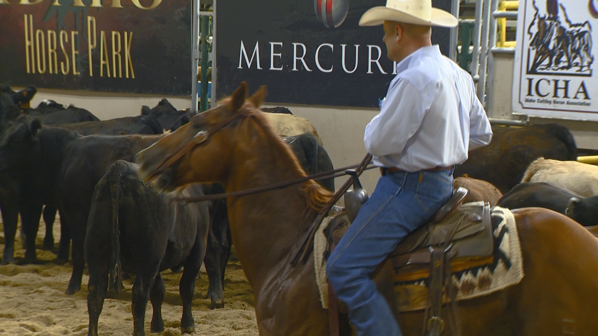 Big horse cutting competition comes to Nampa