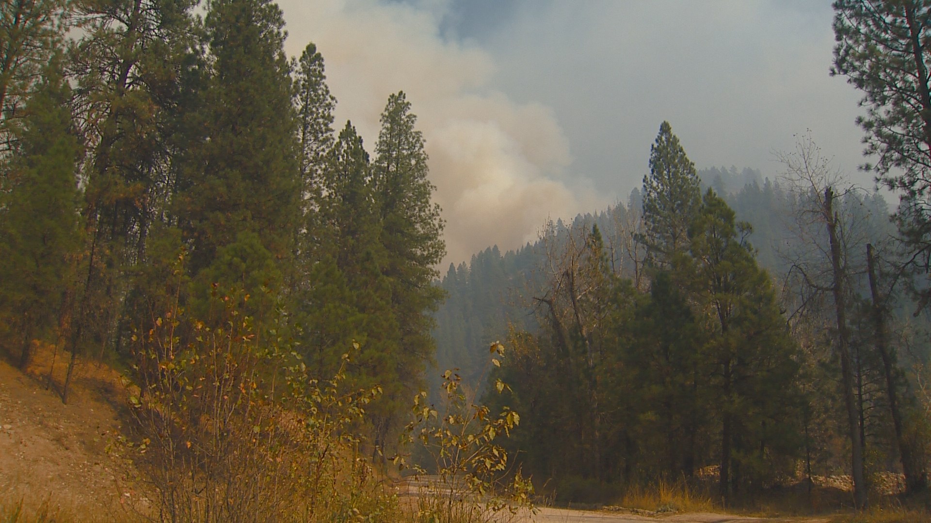 Evacuation orders lifted for Walker Fire