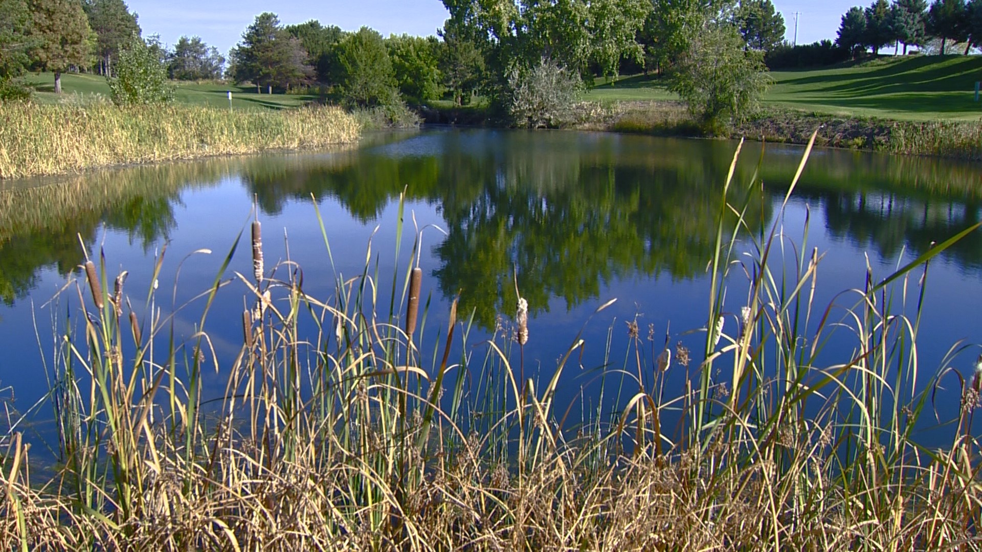 Idaho Youth Ranch to open new Treasure Valley location