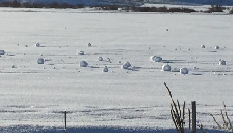 2.10%20snow%20rollers_1455134678507_221206_ver1.0.JPG