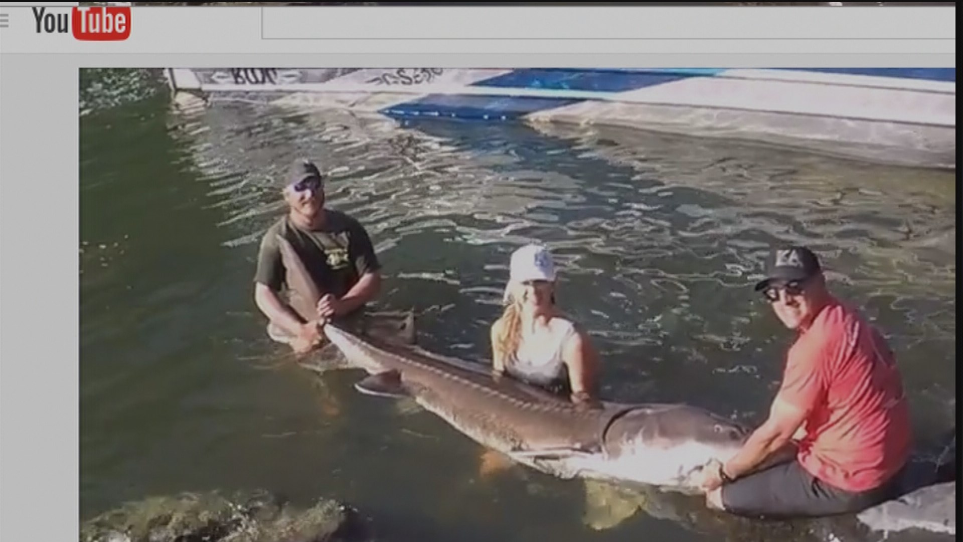 Local woman catches 9foot sturgeon